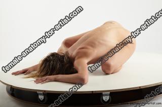 reference of various alojzia 20